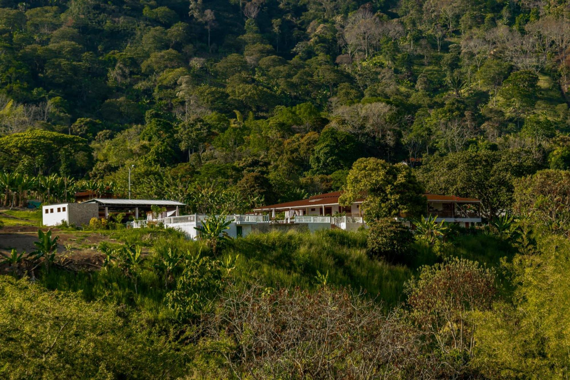 Hotel Campestre La Francesina Betania Exteriér fotografie